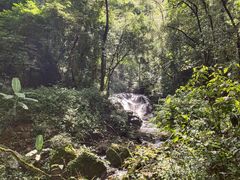 -莫里热带雨林景区