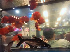 -新辉港式茶餐厅(北栅店)