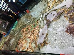 -渔傅·蓝海岸霞浦海鲜(正祥店)