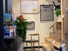 -宠物梦想家(日月豪庭店)