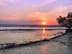 -宝安西湾红树林湿地公园