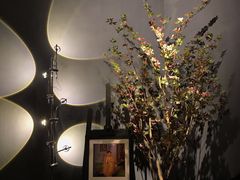 店内布置-咖法森林·咖啡  酒吧(天河店)