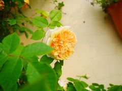 -海惠年代咖啡