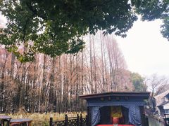 -乌镇东栅景区