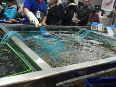 -盒马鲜生(大成店)