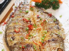 -九府羊·鲜羊火锅·烤串(新华路店)