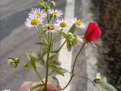 -桤木河湿地公园