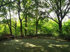 -大兴滨河森林公园