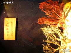 -亚龙湾中心广场·贝壳馆