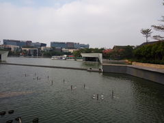-欢乐海岸水秀剧场