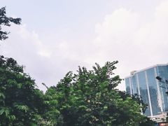 -九龙公园