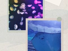 -北海海底世界
