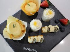 -GAGGENAU嘉格纳(成都品牌直营店)