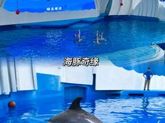 -广州海洋馆