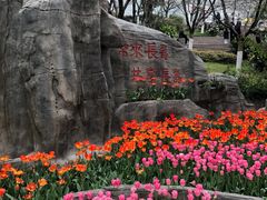 -南山植物园