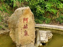 -盛世牡丹苑生态文化旅游区