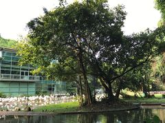 -新加坡飞禽公园