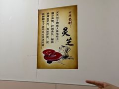 -上海交通大学医学院附属仁济医院(南院)