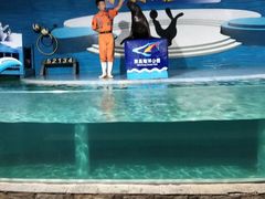 -南昌海洋公园