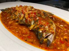 -雀蓝川菜(奥体广场店)