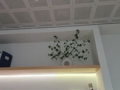 -极简口腔(总院)