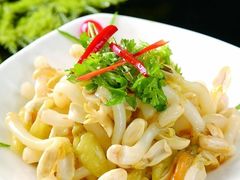 花生芽-楚灶王(徐东店)