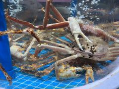 -皮记海鲜1995(寮步店)