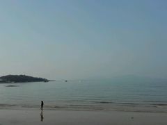android_upload_pic-八大关景区