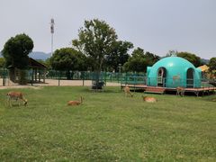 -苏州太湖西山岛开心农场