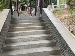 -八大山人梅湖景区