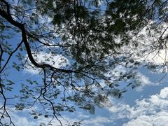 -晓港公园