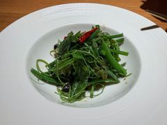 橄榄油高山豌豆苗-庆春朴门