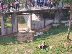 -石家庄市动物园