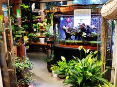 -双季花艺园艺市场(浦东店)