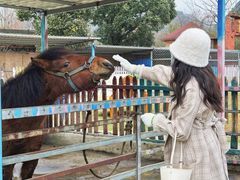 -云漫湖生态度假公园