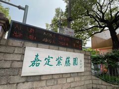 -嘉定紫藤园