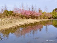 -花开海上生态园