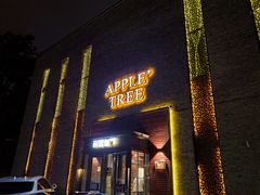 -苹果树下艺术餐厅(宋庄店)