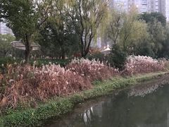 -新江湾城公园