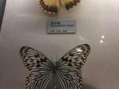 -常州博物馆