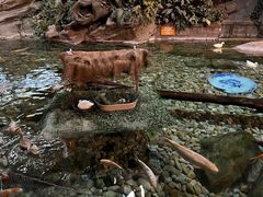 -北京海洋馆