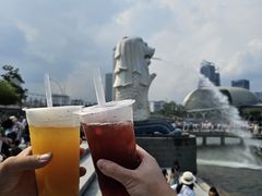 -鱼尾狮公园