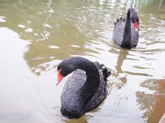 -湖泉半山温泉(湖泉生态园)