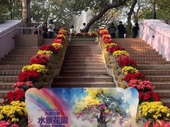 -九龙公园