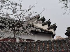 -莹珠阁·私房菜