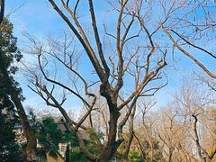 -颐和路民国时期公馆风貌区
