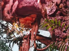 -正佳雨林生态植物园