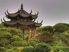 -都江堰玫瑰花溪谷