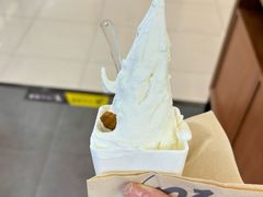 -野人先生Gelato(上海长宁龙之梦店)