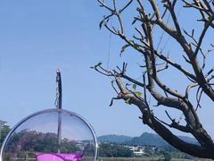 -白云湖畔酒店-湖畔餐厅